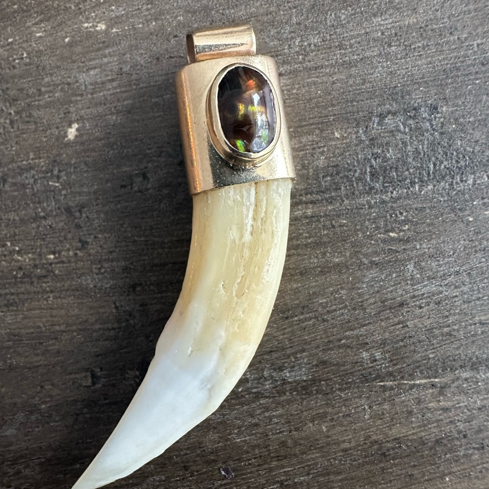 10k Yellow Gold Agate and Boars Tooth Pendant